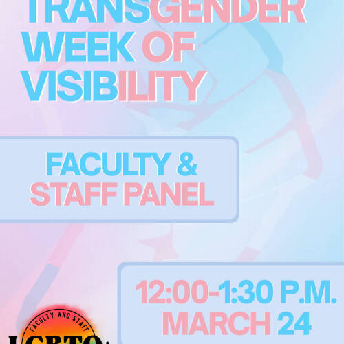 TWOV faculty/staff panel flyer, with gentle blues and pinks
